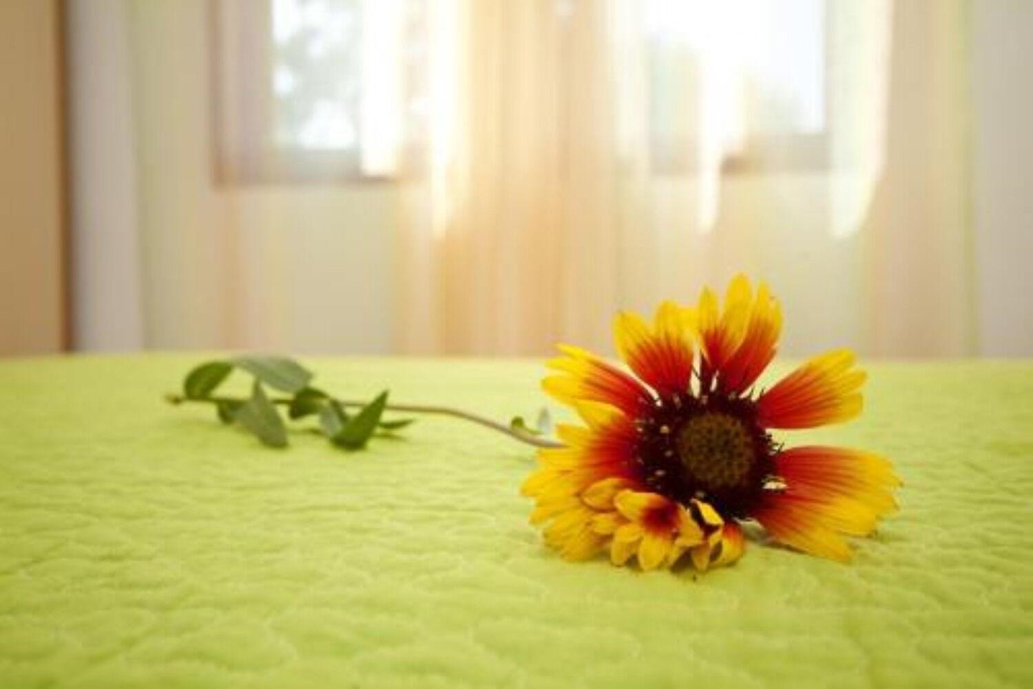 Apartments Ljilja 닌 외부 사진